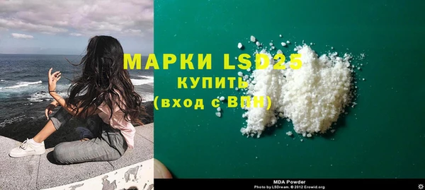 стаф Аркадак