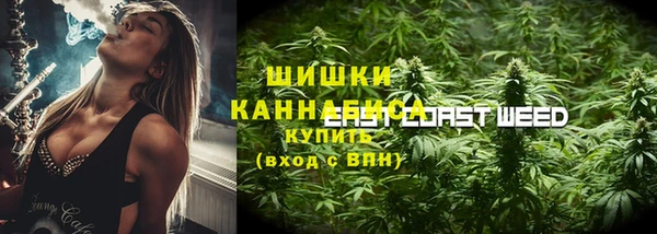 кокс Арсеньев