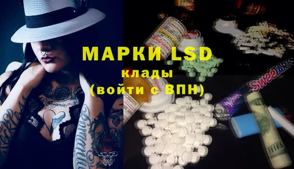 стаф Аркадак