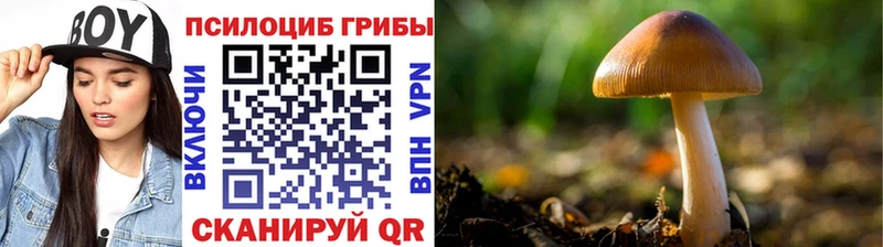 Псилоцибиновые грибы MAGIC MUSHROOMS  Очёр 